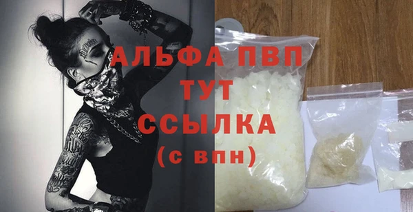 прущие грибы Армянск