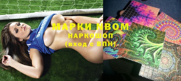 ПСИЛОЦИБИНОВЫЕ ГРИБЫ Арсеньев