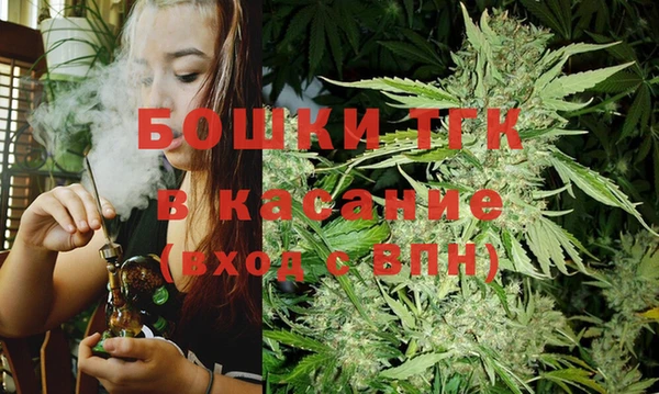ПСИЛОЦИБИНОВЫЕ ГРИБЫ Арсеньев